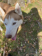 6BF94782-E099-4003-A3B3-E95E93B39109