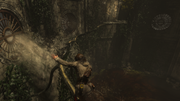 Rise-of-the-Tomb-Raider-Screenshot-2022-10-07-22-45-10-27