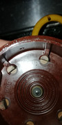 IMG-20200903-204503.jpg
