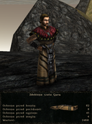 pancerze i ubrania (5)