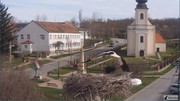Kép