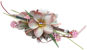 Blossom-Elements-75