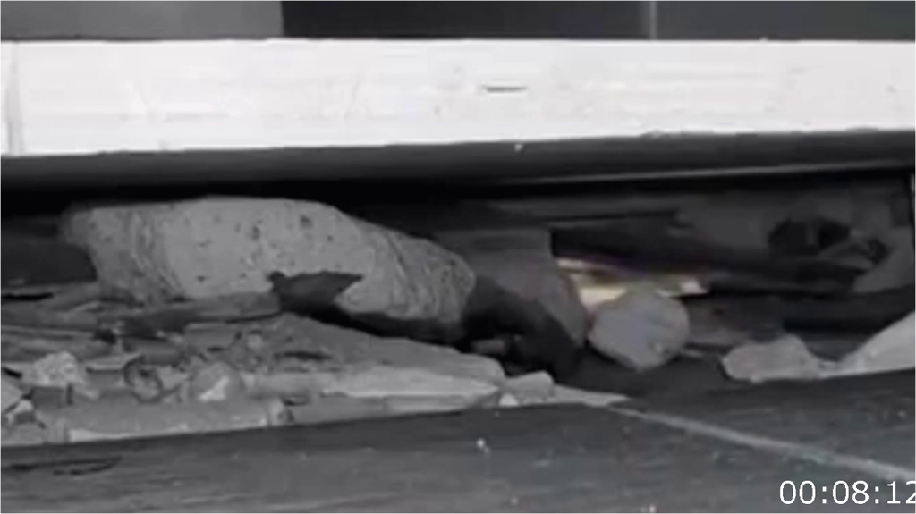 [Image: 9cqwn7te5sd6.png]