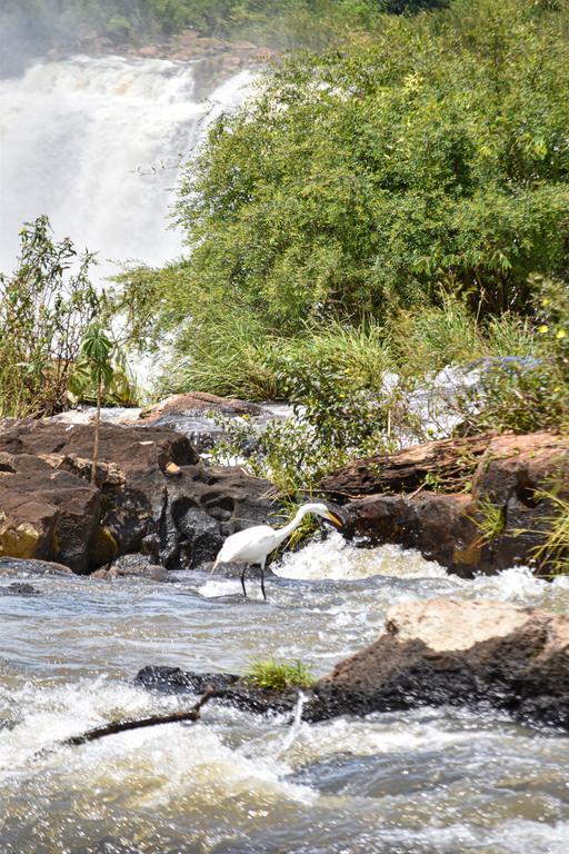 В джазе только девушки или аргентинско-бразильский калейдоскоп В джазе только девушки или аргентинско-бразильский калейдоскоп