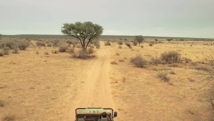 [Image: rfk69kzz5v6i.jpg]