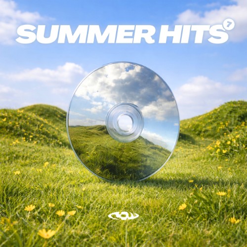 VA - RAW Summer Hits 7 (2026)