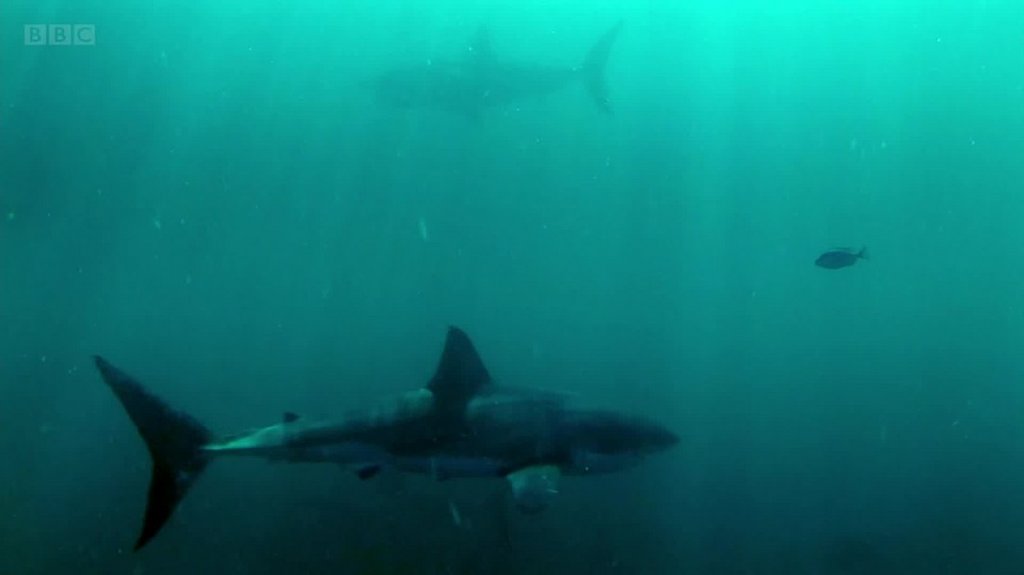 [Image: h2t9entm2m9v.jpg]