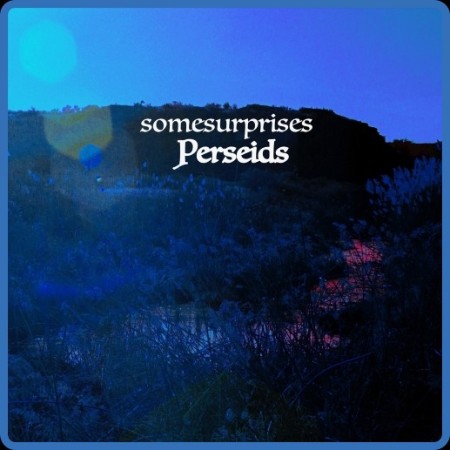 somesurprises - Perseids (2024)