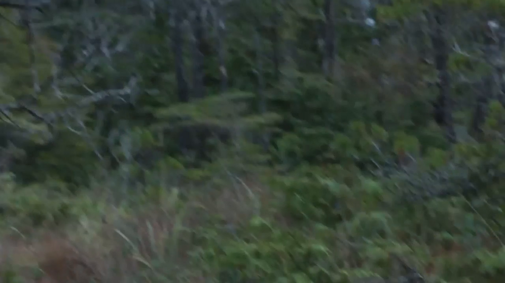 [Image: cfhjyz72d84k.png]