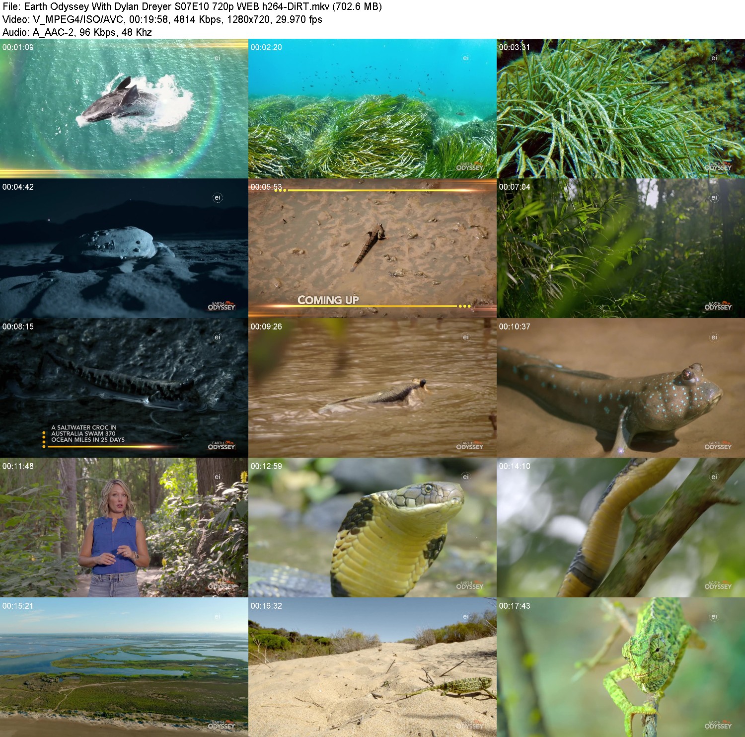 [Image: xnbx94u3jq1l.jpg]