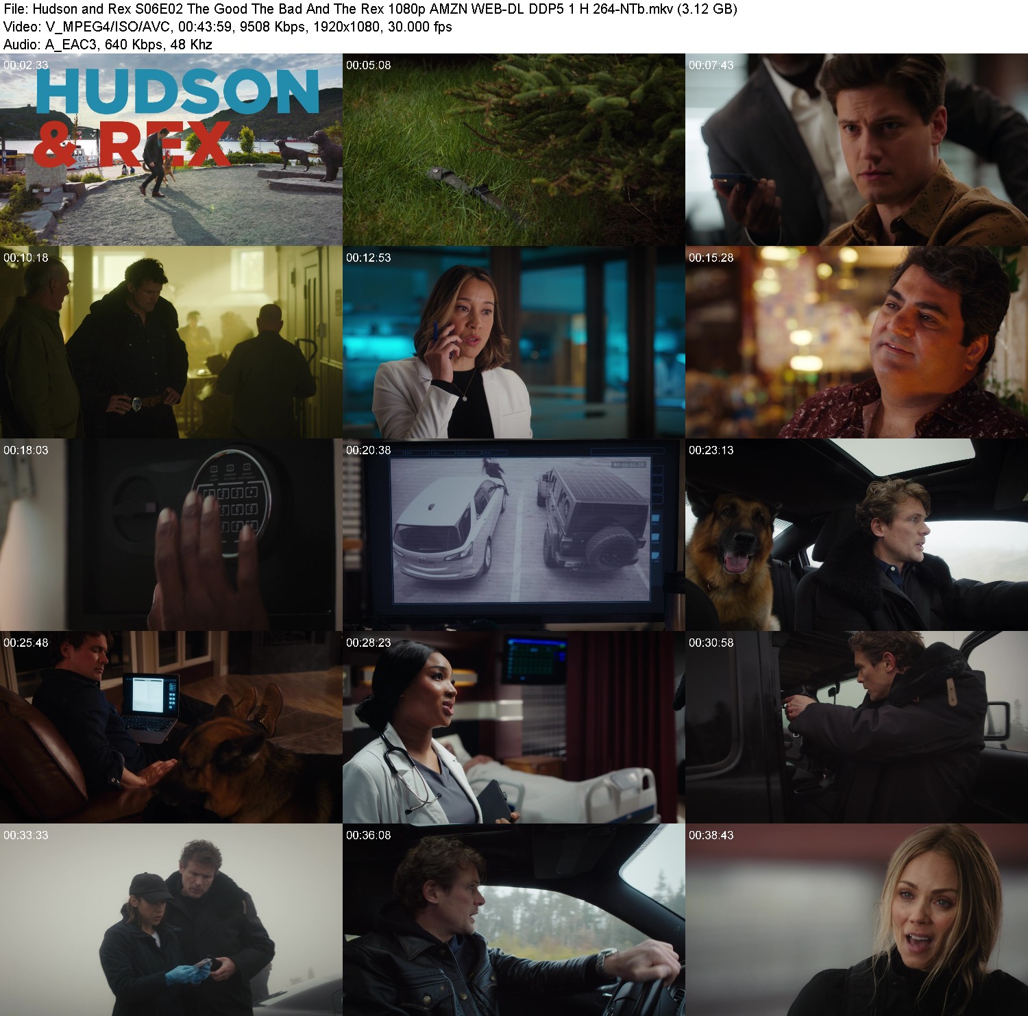 [Image: zw63z8r0xllj.jpg]