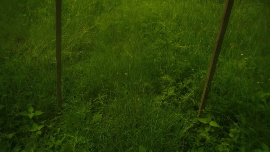 [Image: n7tb9zgdw3h8.jpg]