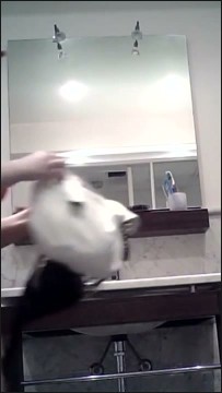 [Image: Voyeur23845081321.jpg]