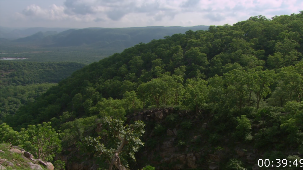 [Image: 7vmcu58ys3zv.png]