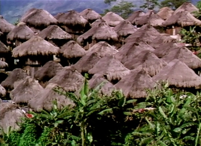 [Image: f1u8vnn55yae.png]