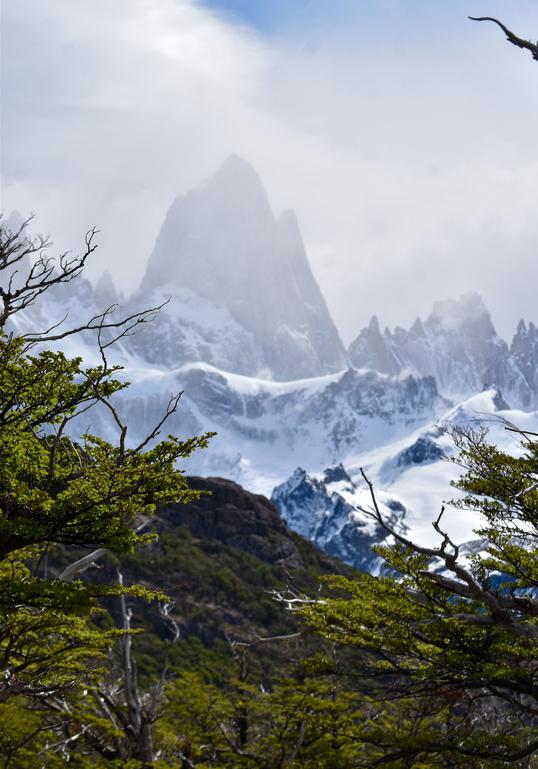В джазе только девушки или аргентинско-бразильский калейдоскоп В джазе только девушки или аргентинско-бразильский калейдоскоп