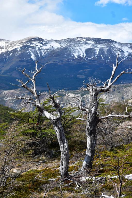 В джазе только девушки или аргентинско-бразильский калейдоскоп В джазе только девушки или аргентинско-бразильский калейдоскоп