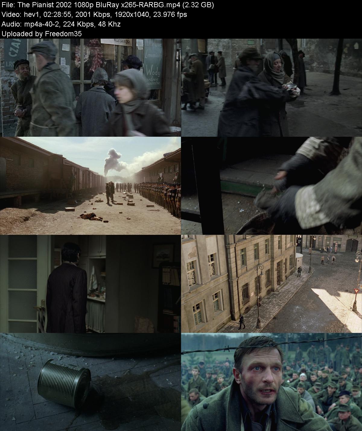 The-Pianist-2002-1080p-Blu-Ray-x265-RARB