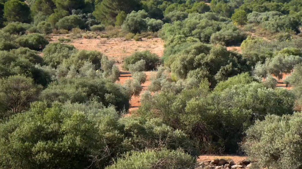 [Image: 4gmo46jah8yb.png]