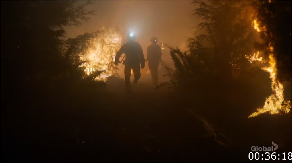 [Image: b6bkv99gw0fz.png]