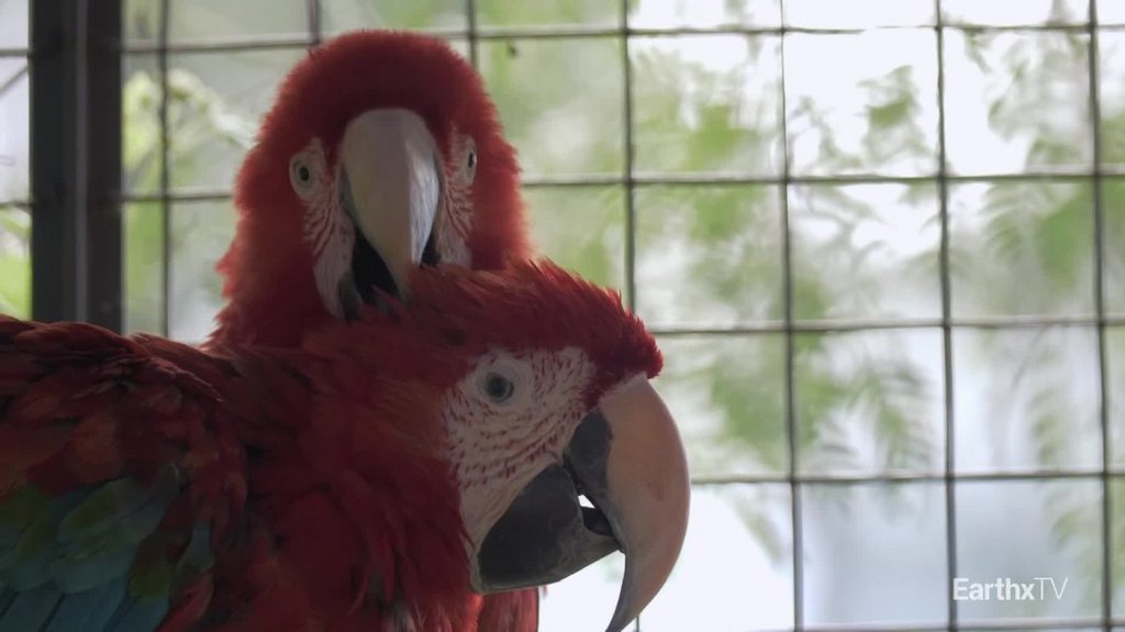 [Image: 39bdq6akzza2.jpg]