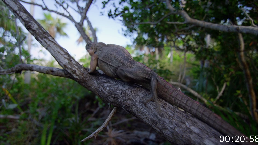 [Image: i4bxpj3l67gu.png]