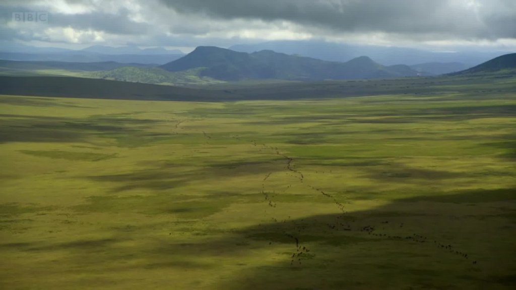 [Image: 0psalrm38am2.jpg]