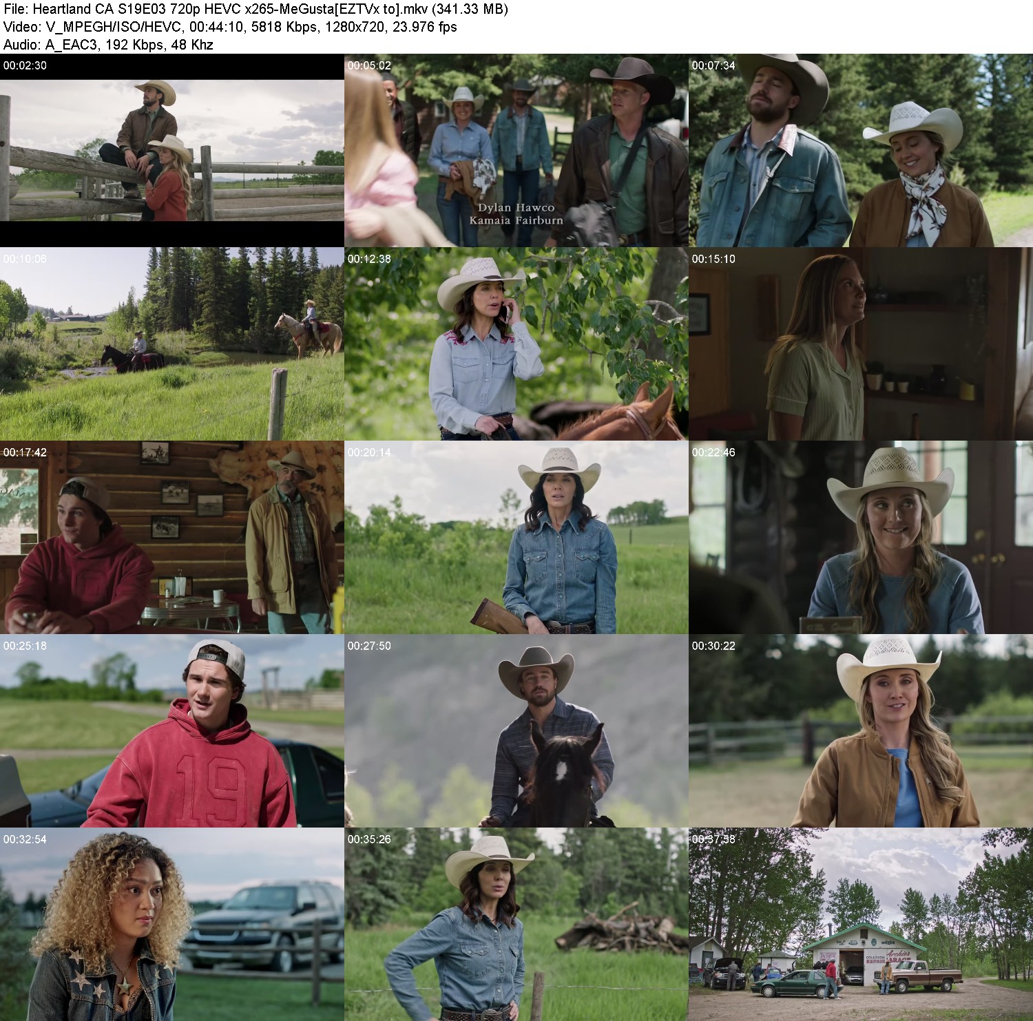 [Image: wd92scid17md.jpg]