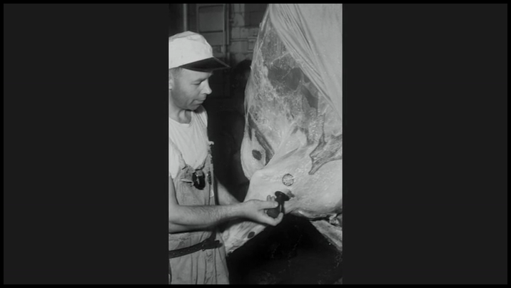 [Image: i3epu94moc6c.png]