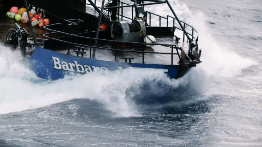 [Image: xzuo6w3f5s7w.png]