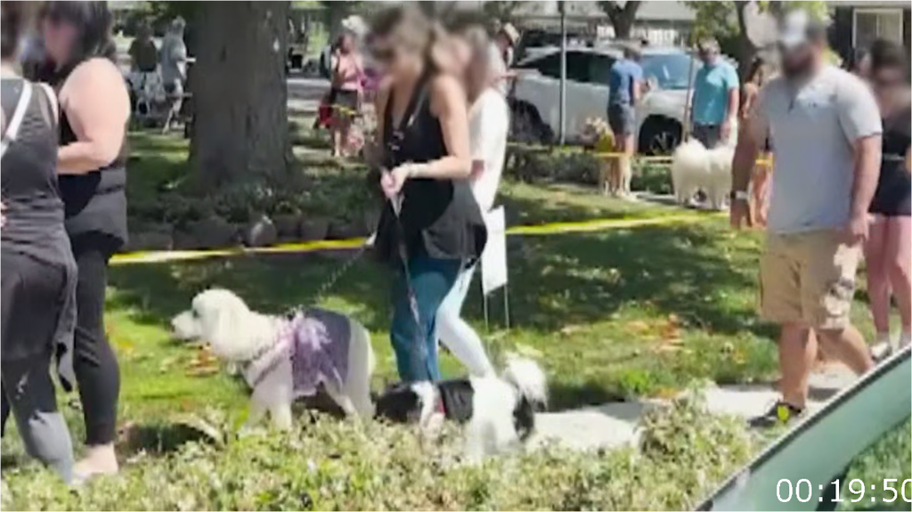 [Image: j6kjhmq7mg04.png]