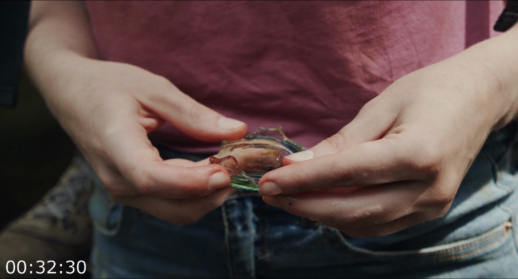 [Image: j0t42s5kkxfs.png]