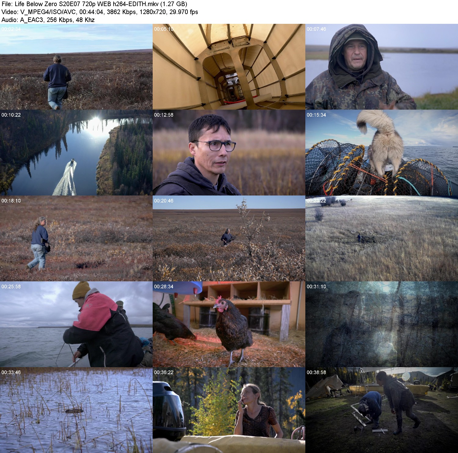 [Image: nc78dyo3r0wq.jpg]