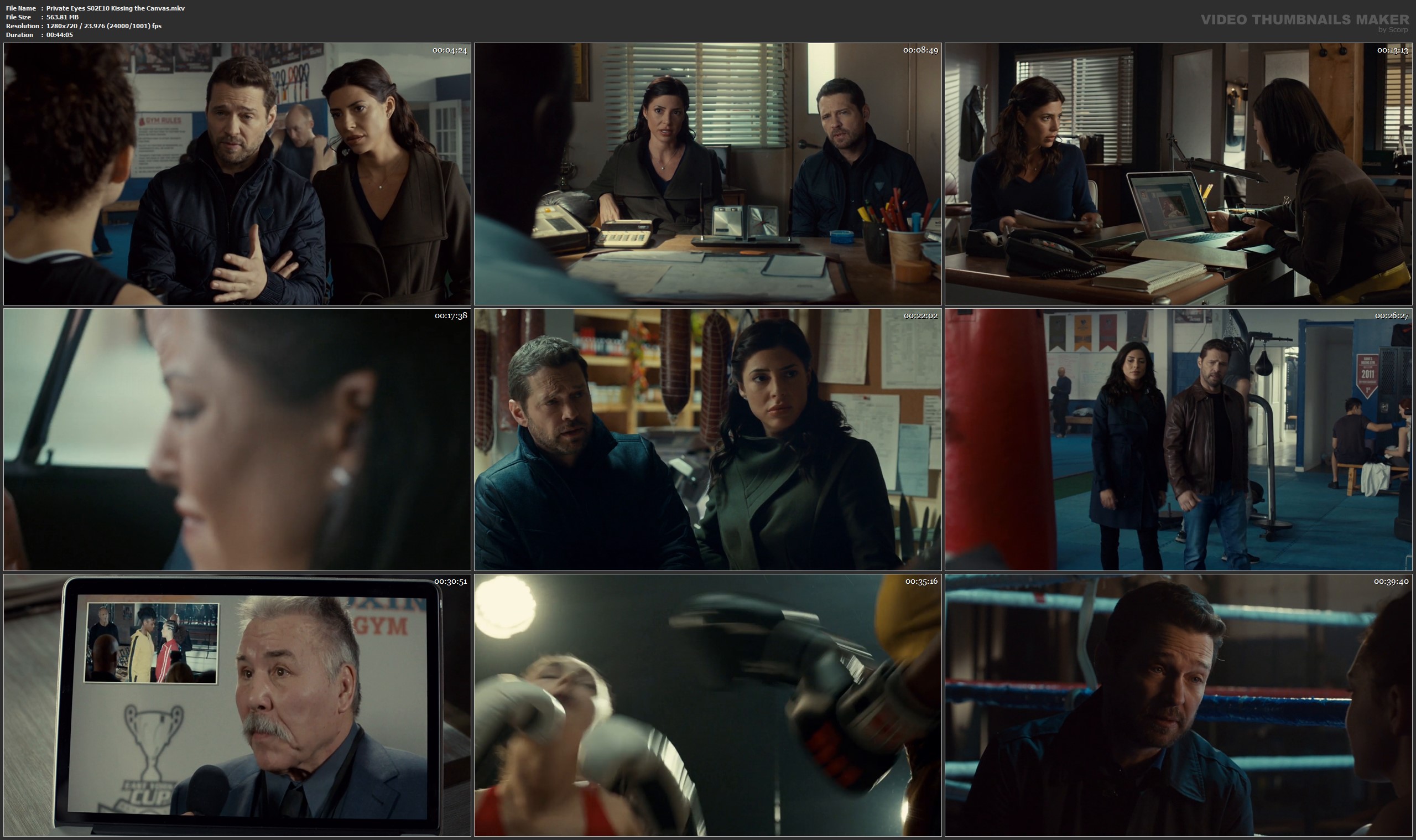 Private Eyes S02 E10 Kissing the Canvas mkv — Postimages