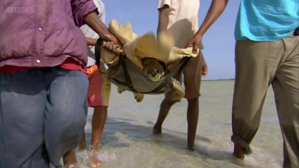 [Image: 9lg5kcgx09bt.jpg]