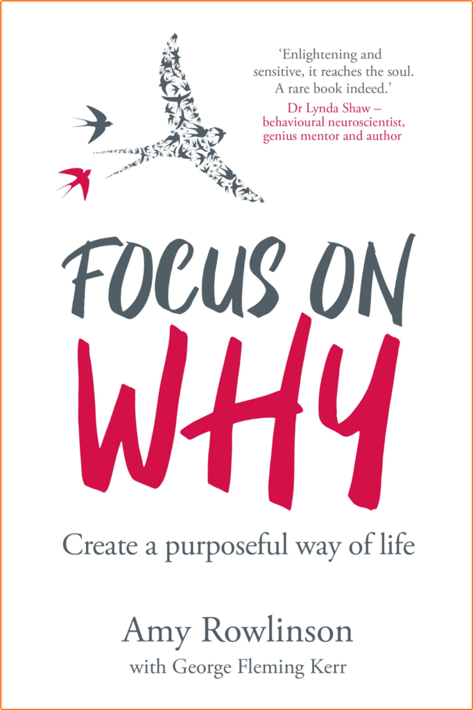 [Image: 54saobx9gzs6.png]