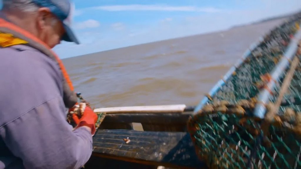 [Image: sg7tjtp94q8b.jpg]