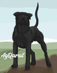 AgQ Rook
