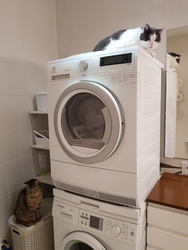 20190218-063857.jpg