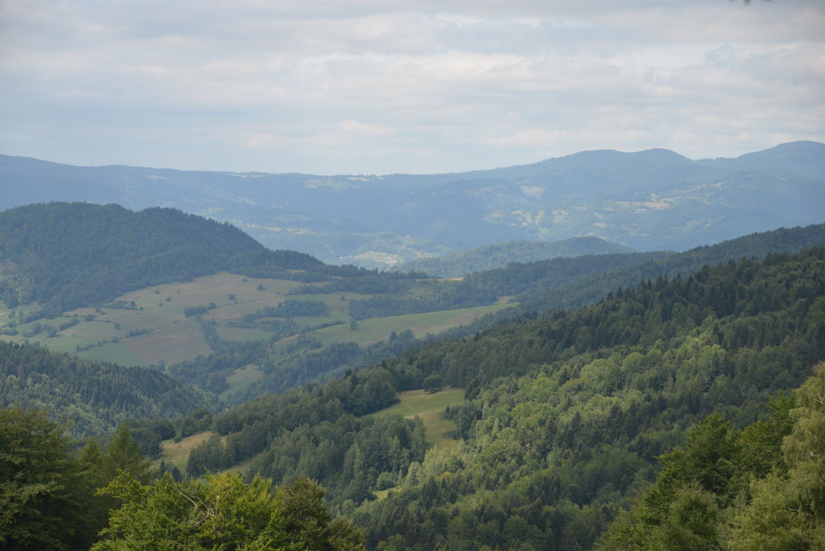 DSC-4027.jpg