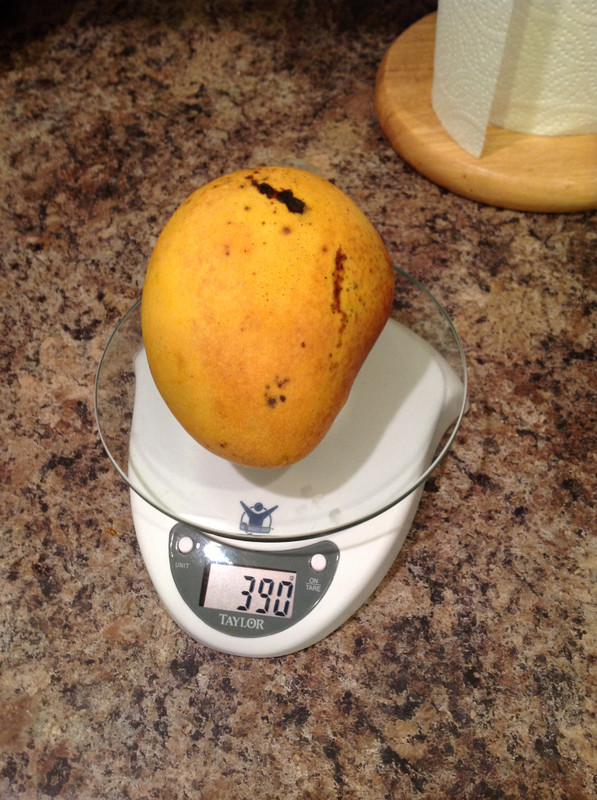 125424e93b63342b7448c5d8ea98770f