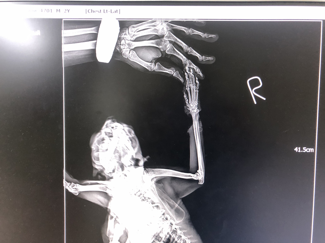 D4F369F8-AD2A-4D28-AD6E-FA3DCF171B55