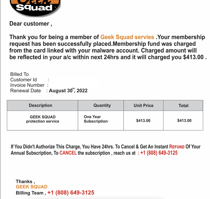 geek-squad