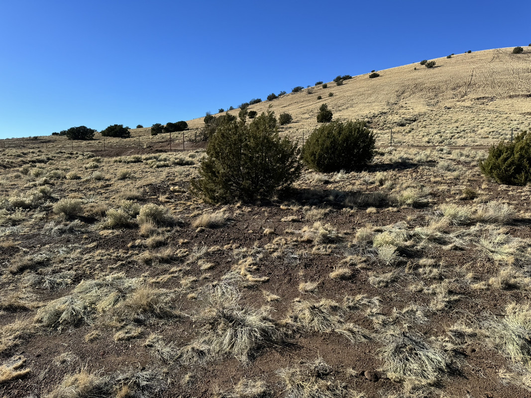 Up to 3 acres + great road = great investment