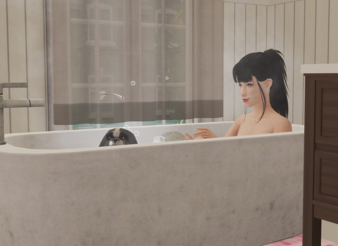Sims2-EP9-RPC-2024-08-14-20-09-47-38