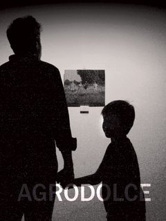 Agrodolce (2021) WebDL 1080p AC3 ITA