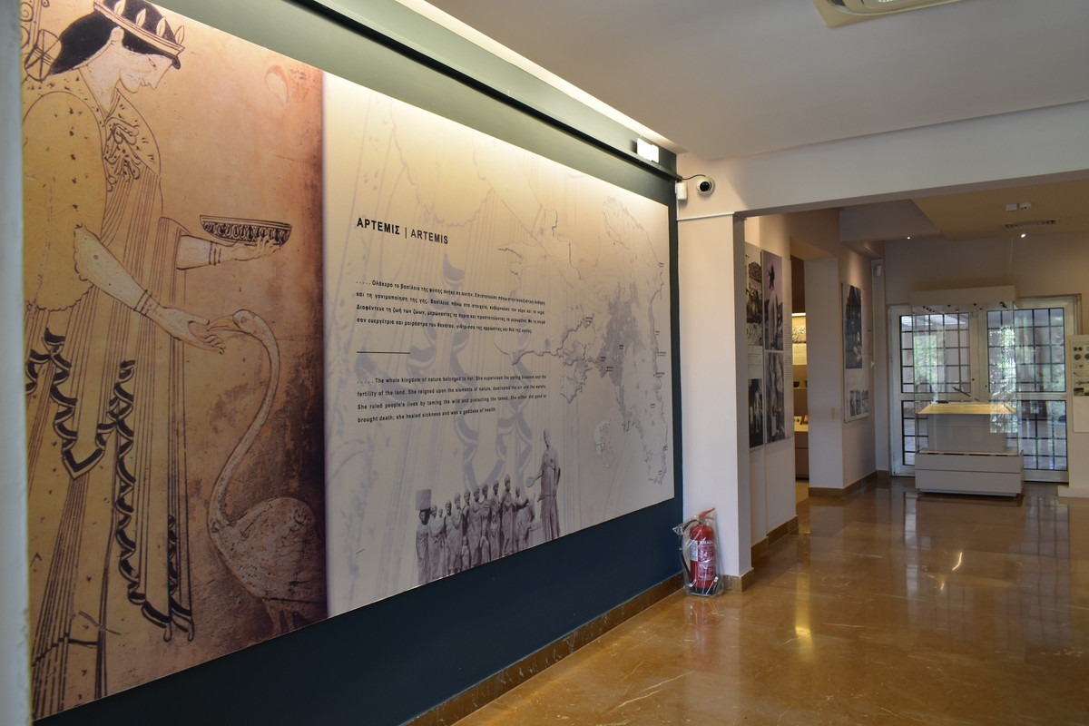 Αρχαιολογικό Μουσείο Βραυρώνας (5)