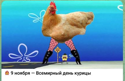 image.jpg