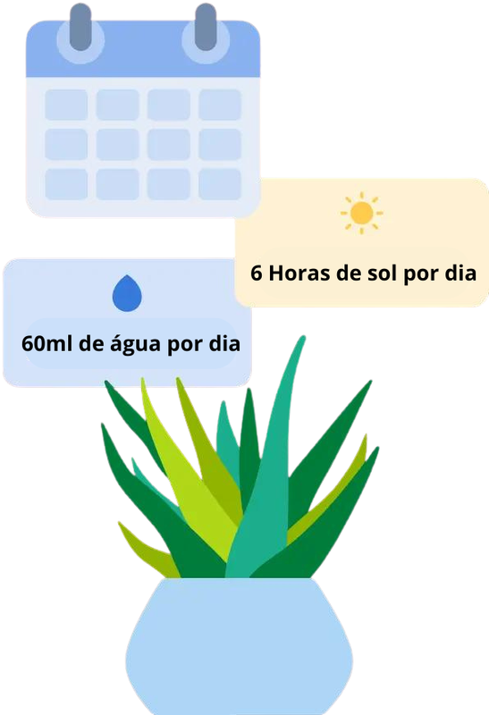 Feature illustration