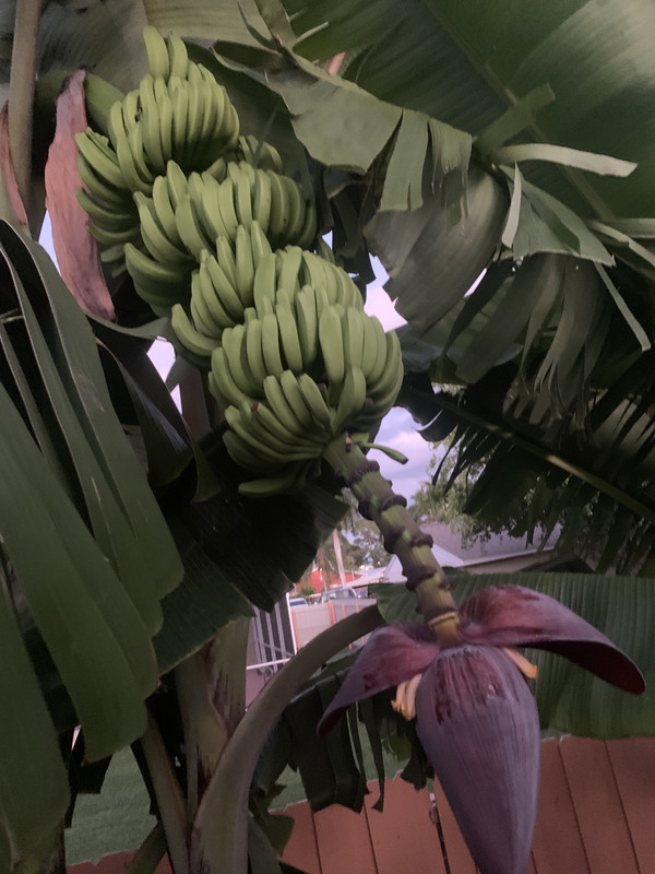 15194402-EF22-40F6-BBFB-110BBE3E603C